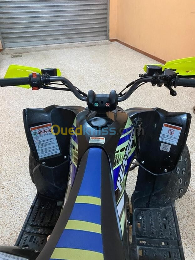 VMS VMS Quad Raptor 125CC 2024