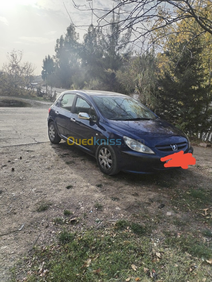 Peugeot 307 2004 307