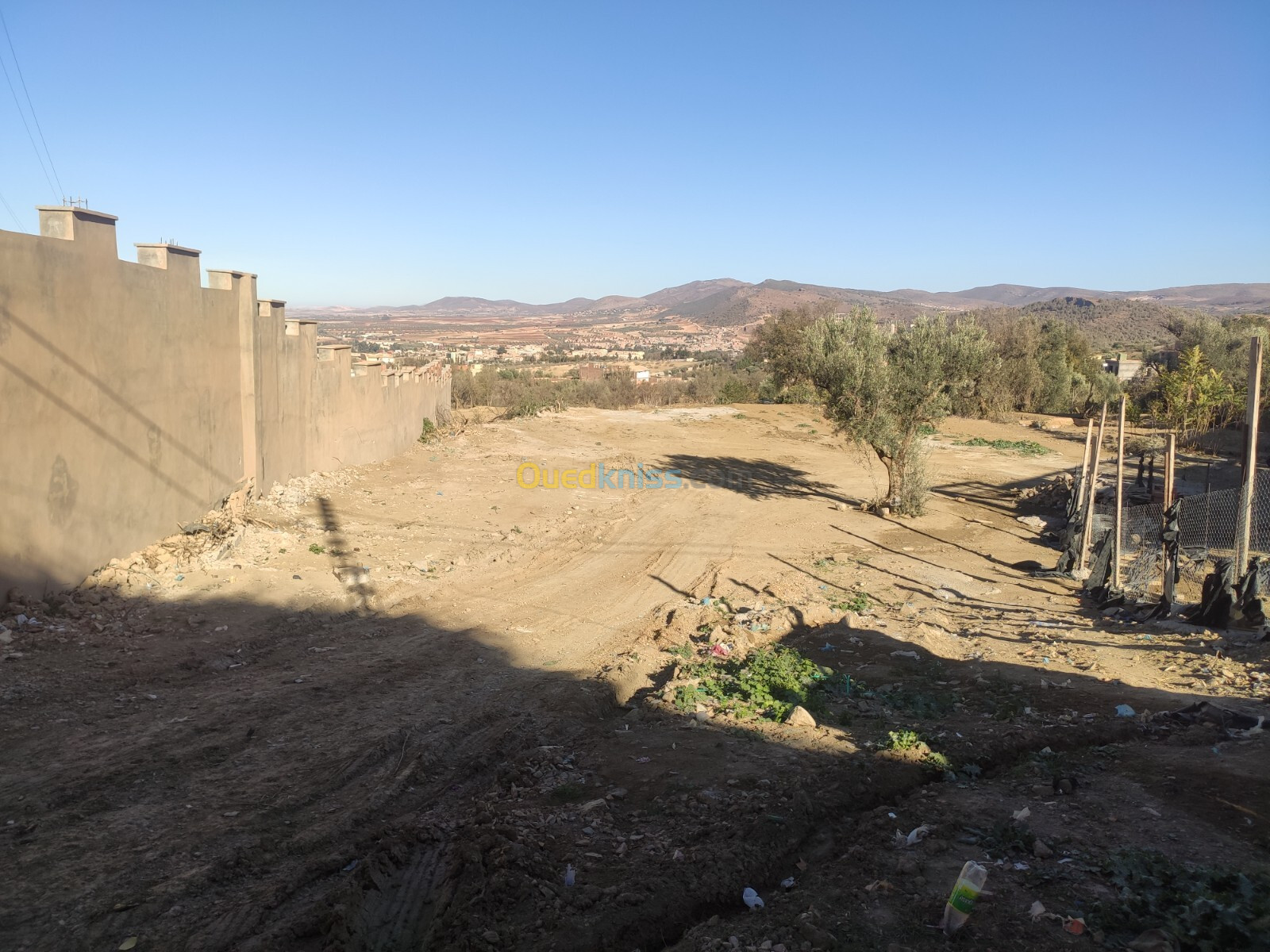 Vente Terrain Tlemcen Tlemcen