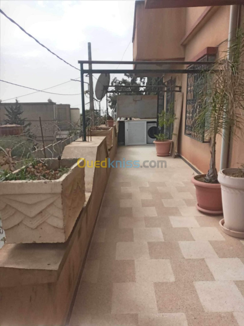 Vente Appartement F04 Alger Bouzareah