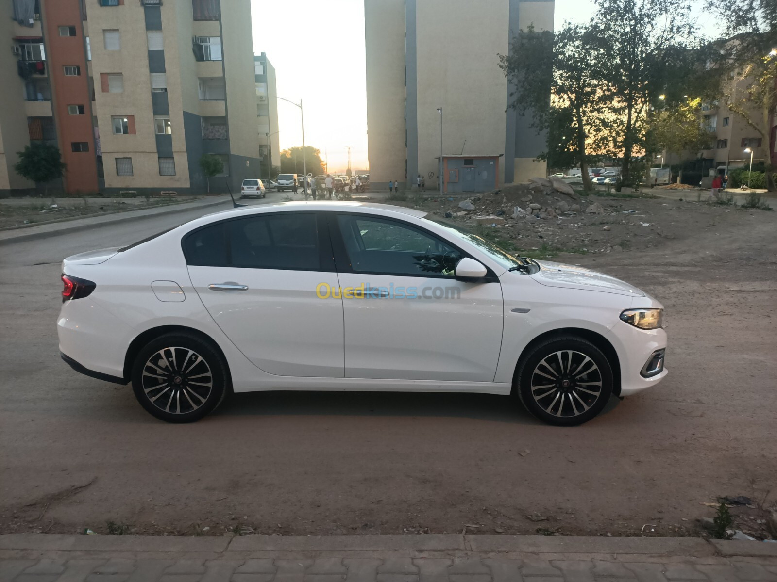 Fiat Tipo 2024 Laiv