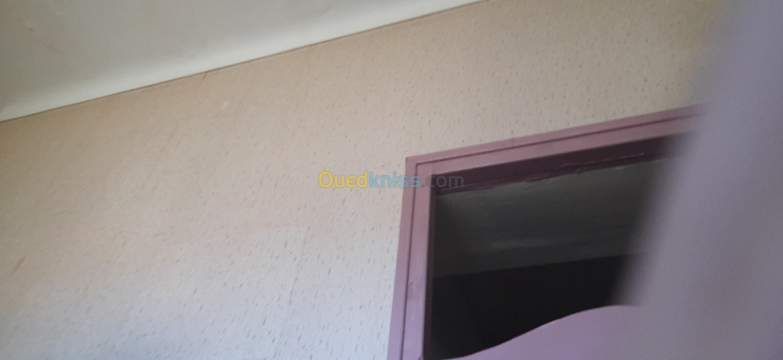 Vente Duplex F6 Alger El biar