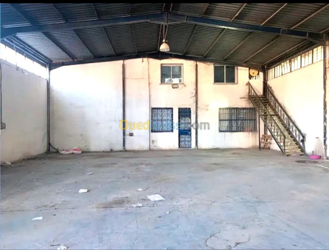 Rent Hangar Blida Boufarik