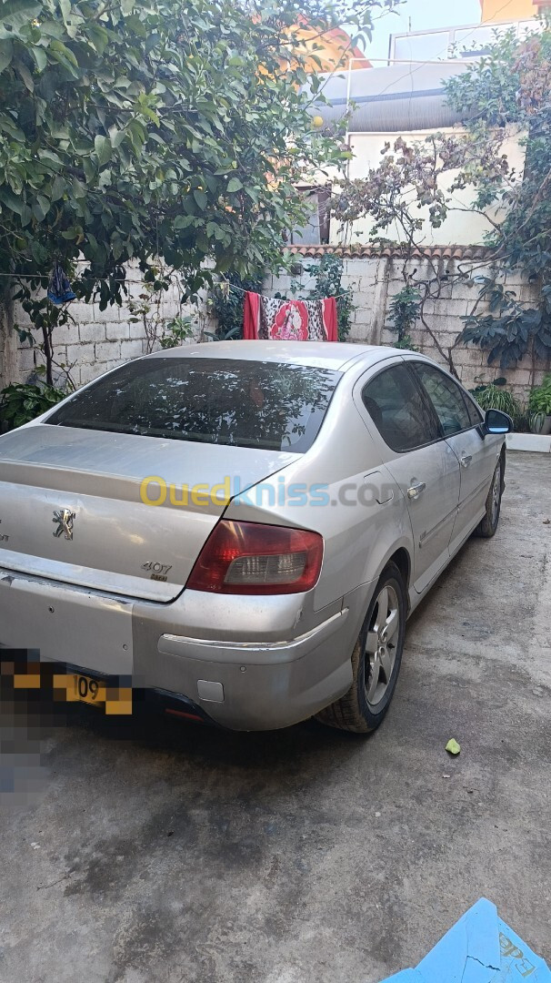 Peugeot 407 2009 407