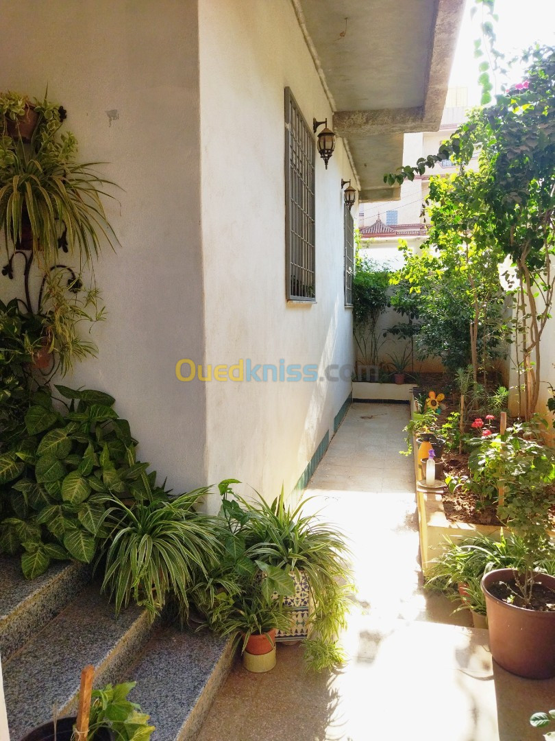 Vente Villa Alger Saoula