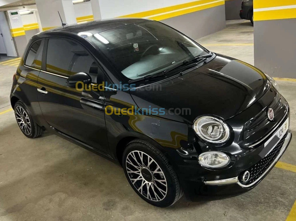 Fiat 500 2024 