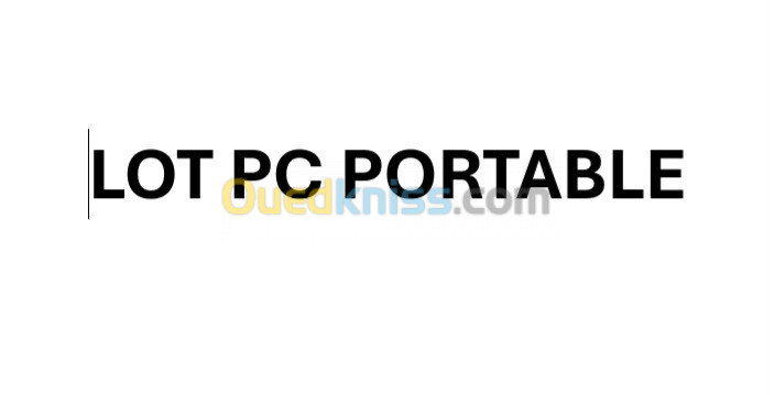 Lot pc de portable 