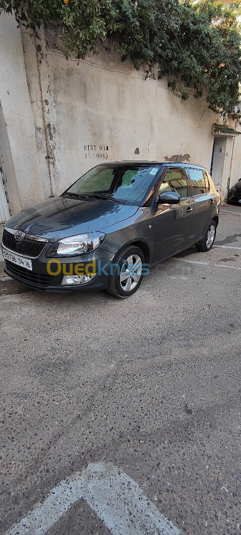 Skoda Fabia 2014 Fresh