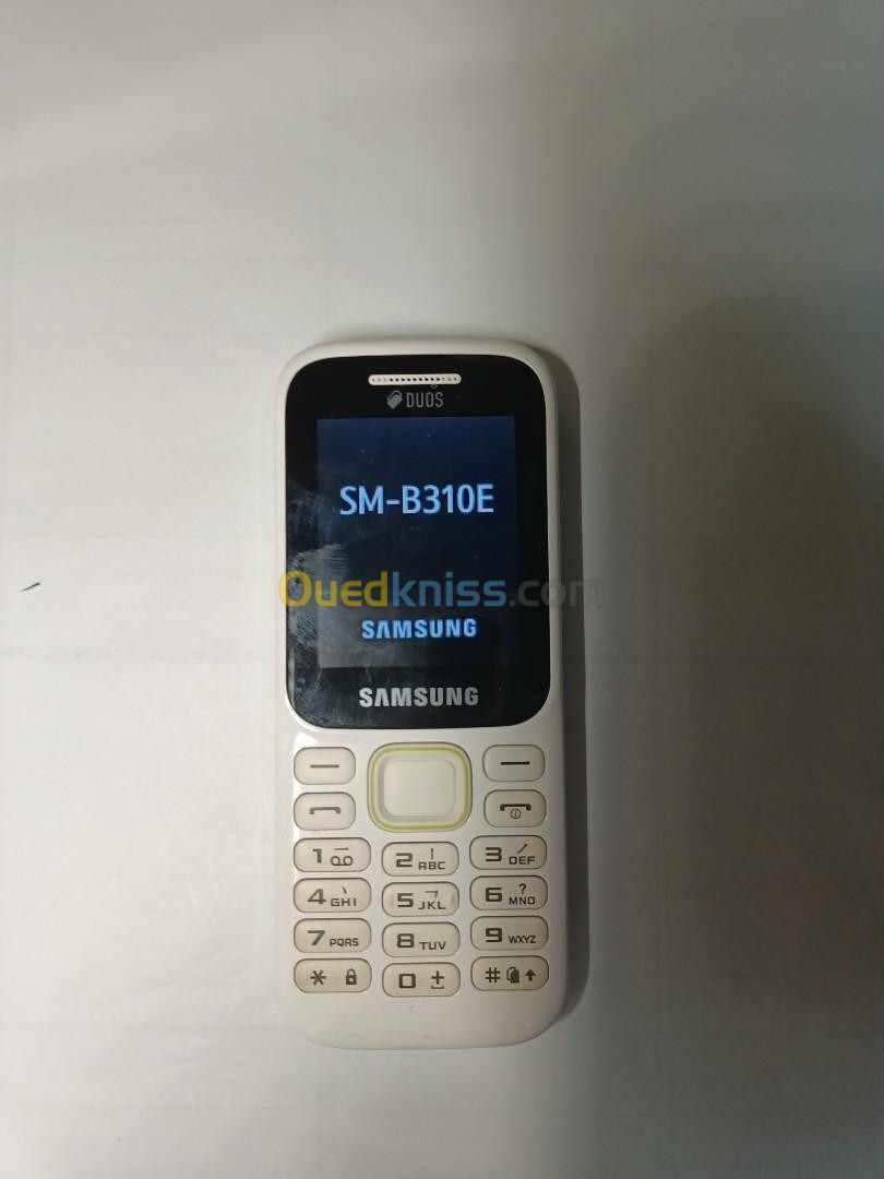 Samsung B310 vente GROS et Details