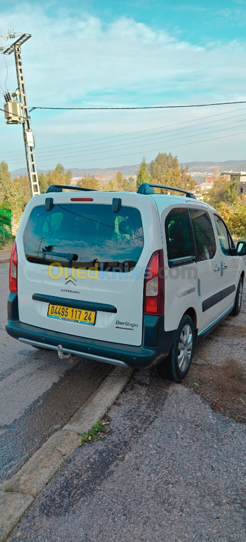 Citroen Berlingo 2017 Berlingo