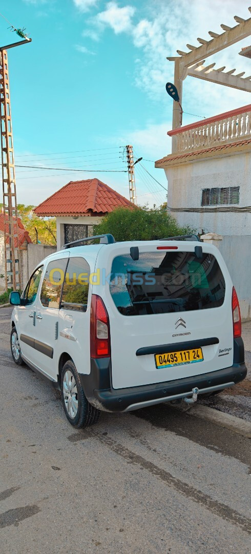 Citroen Berlingo 2017 Berlingo