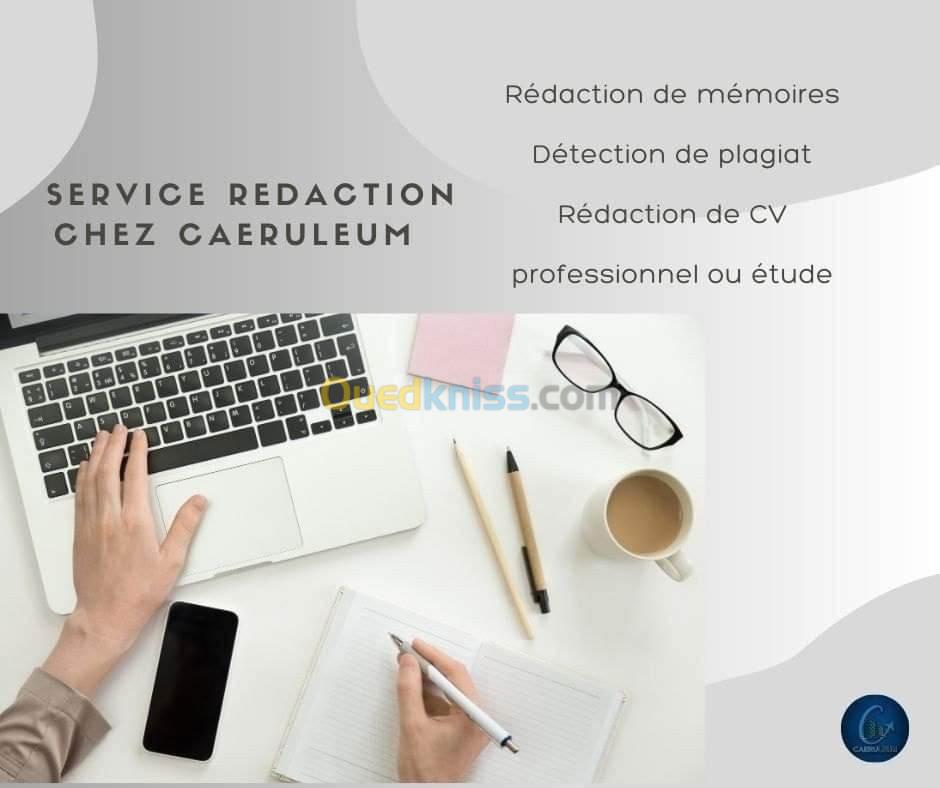 CV PROFESSIONNEL SUR MESURE