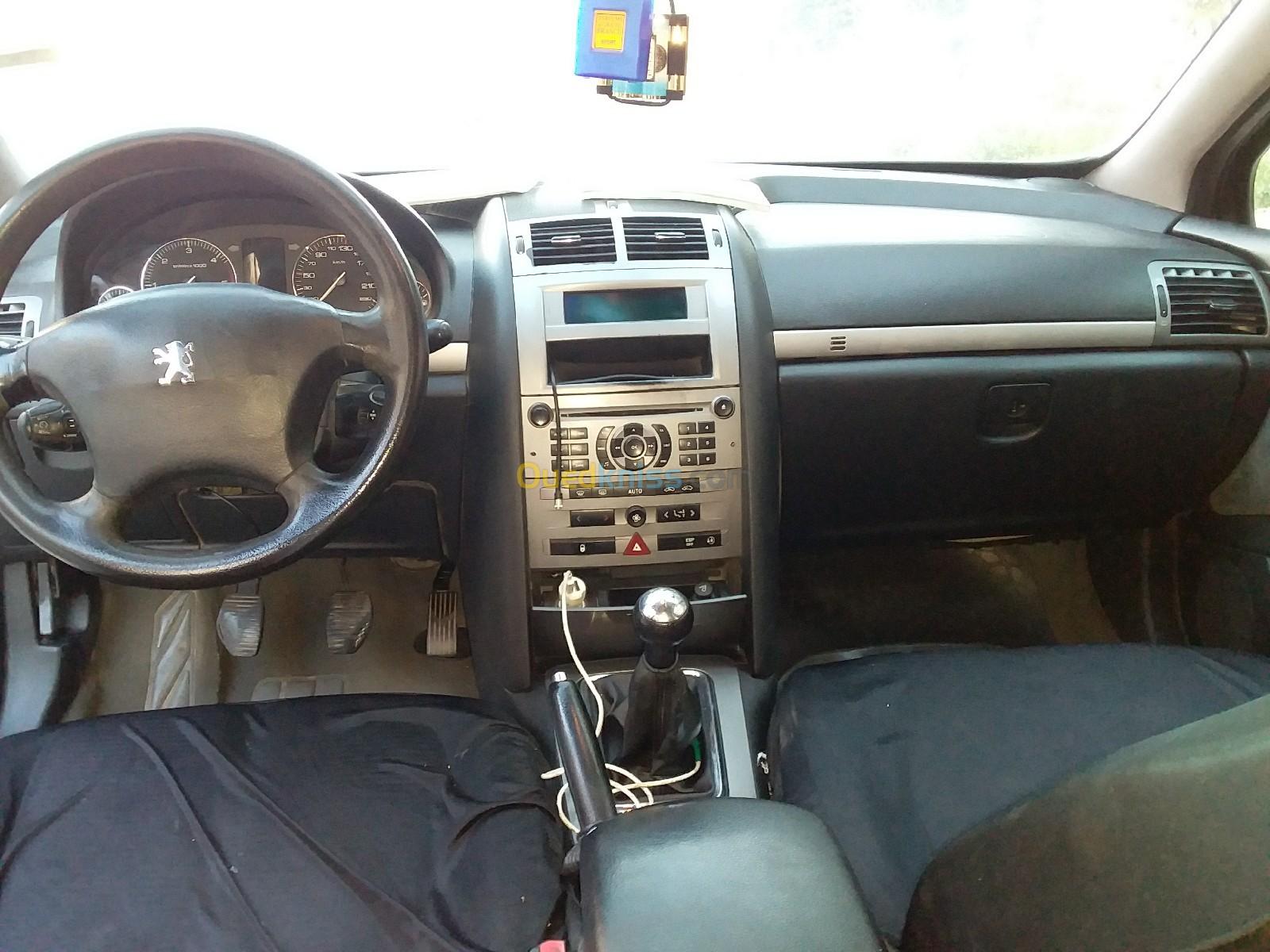 Peugeot 407 2009 407