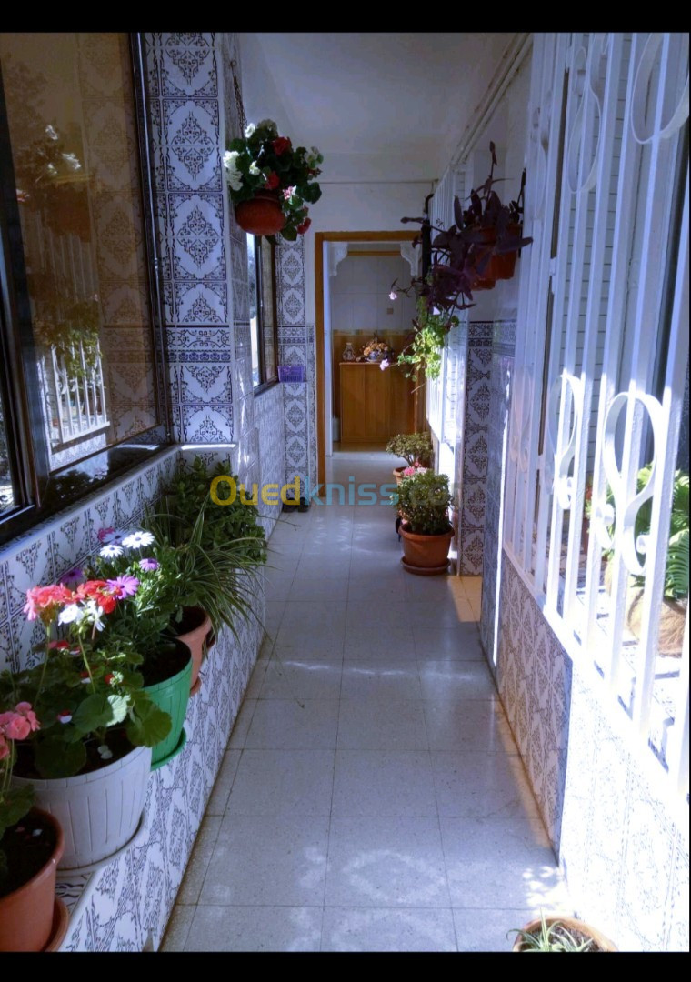 Vente Appartement F3 Alger El biar