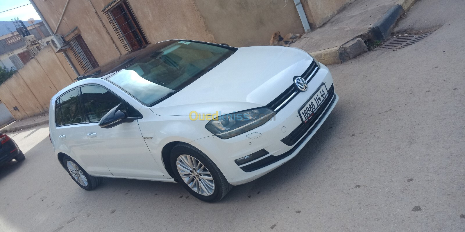 Volkswagen Golf 7 2014 Cup