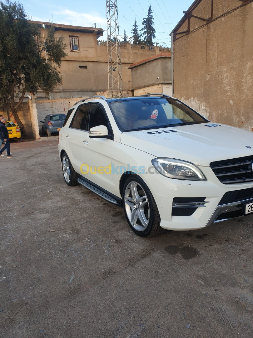 ML Mercedes 2013