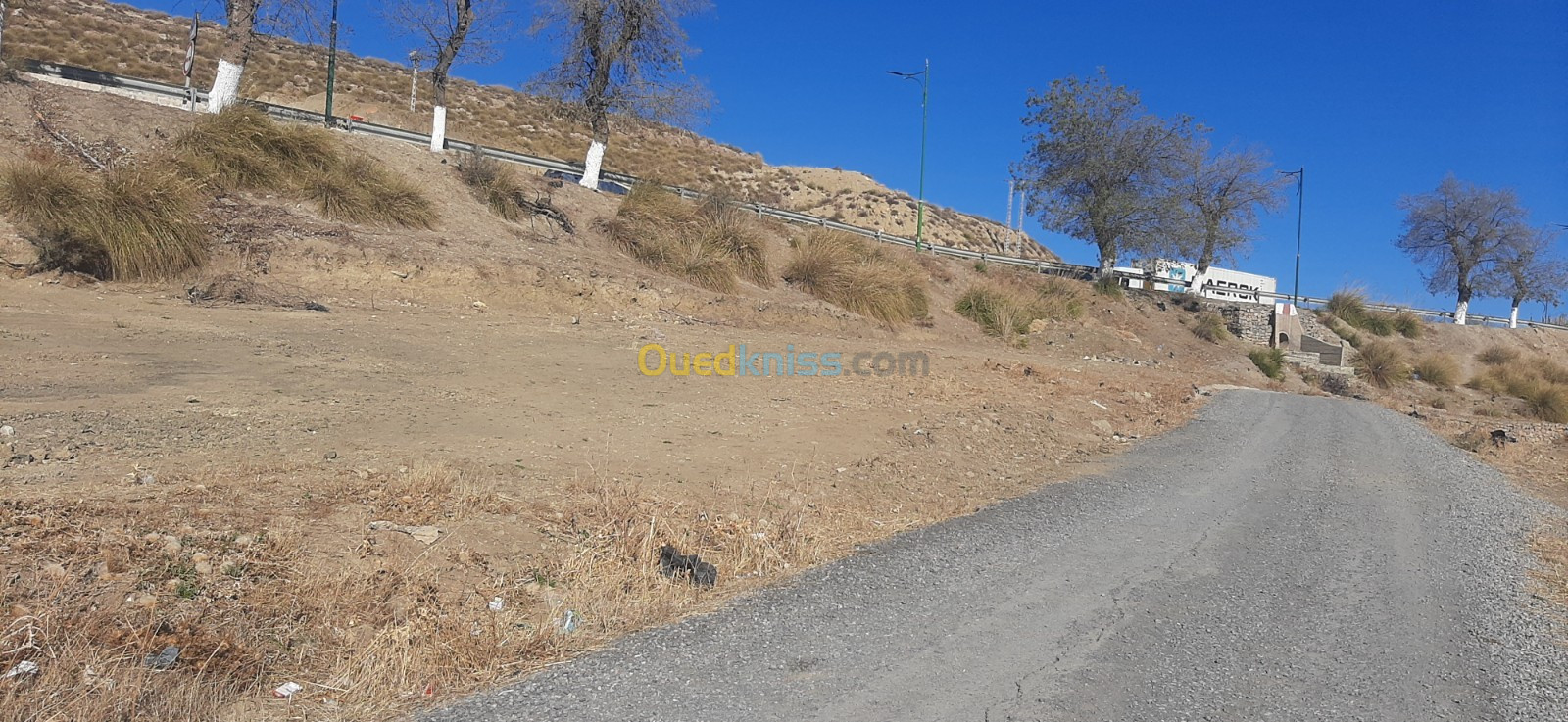 Vente Terrain Sétif Ain el kebira