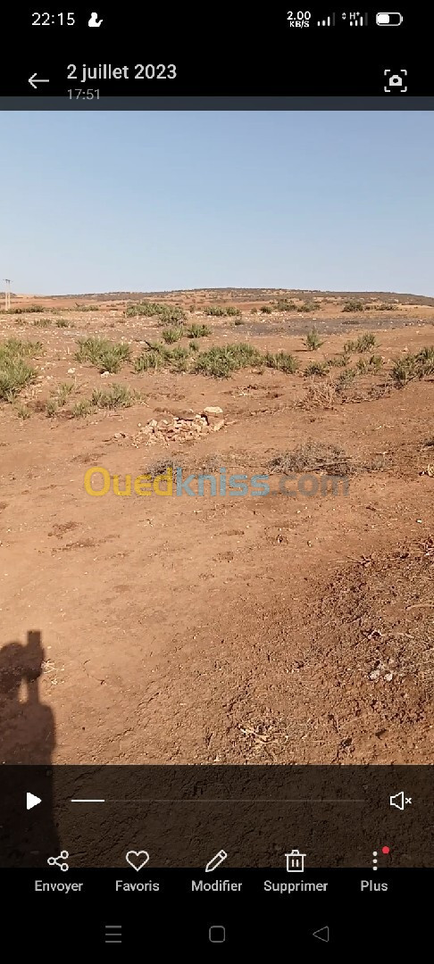 Vente Terrain Agricole Oran Sidi chami