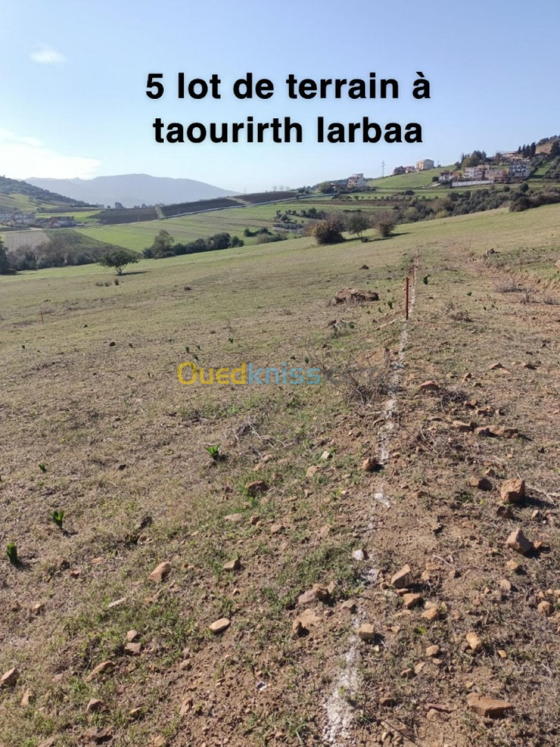 Vente Terrain Béjaïa Oued ghir