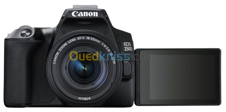 CANON EOS 250D STM Appareil Photo  + Objectif EF-S 18-55mm f- 4-5.6 IS STM