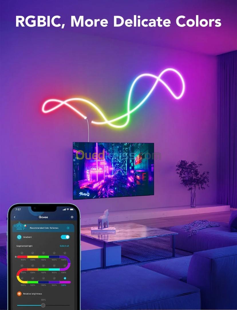 GOVEE RGBIC LED NEON ROPE LIGHT - H61A0 - ENERGY CLASS - 3M 10FT - COLOR-MATCH - CONTRÔLE VOCAL +APP