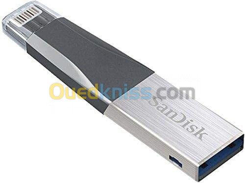 Clé USB 3.0 128Go SanDisk iXpand Go Lightning iPhone iPad
