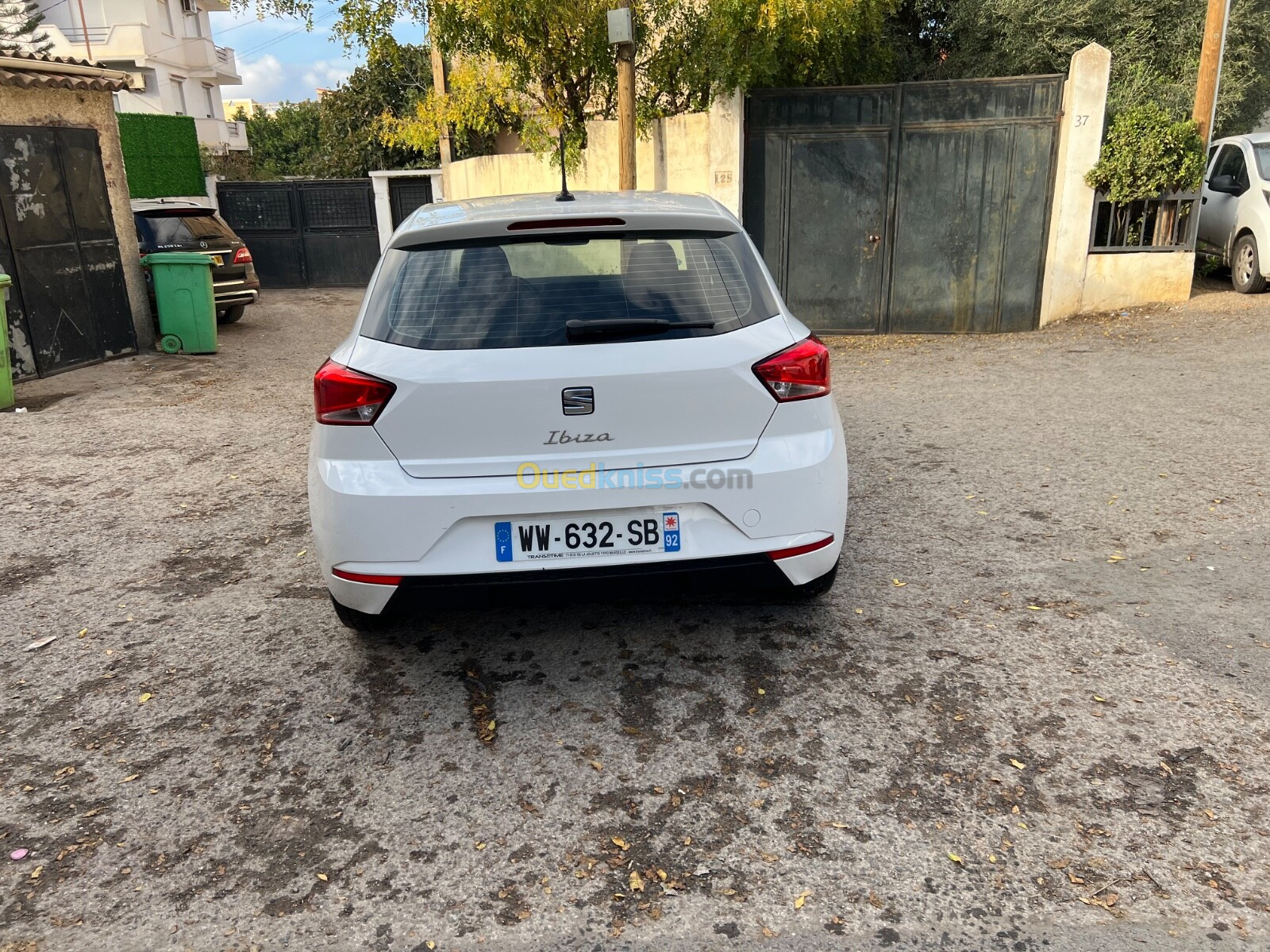 Seat Ibiza 2023 Style