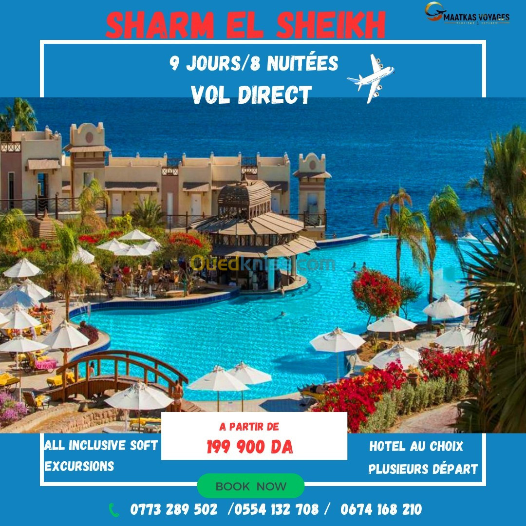 Charter vol direct Sharm El Sheikh 