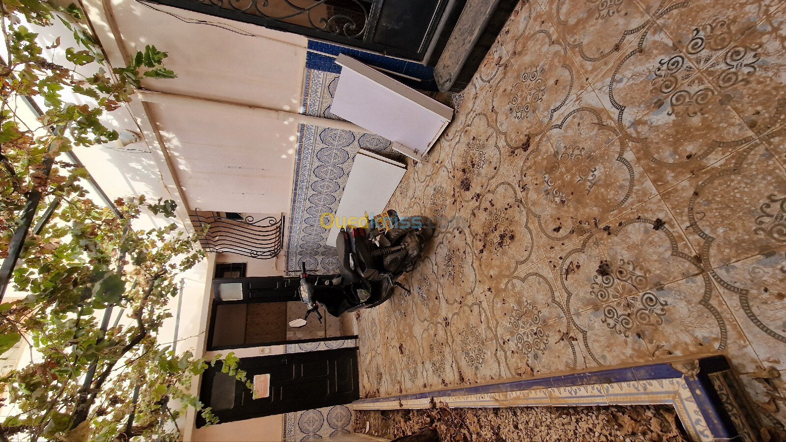 Location Villa Sidi Bel Abbès Sidi bel abbes