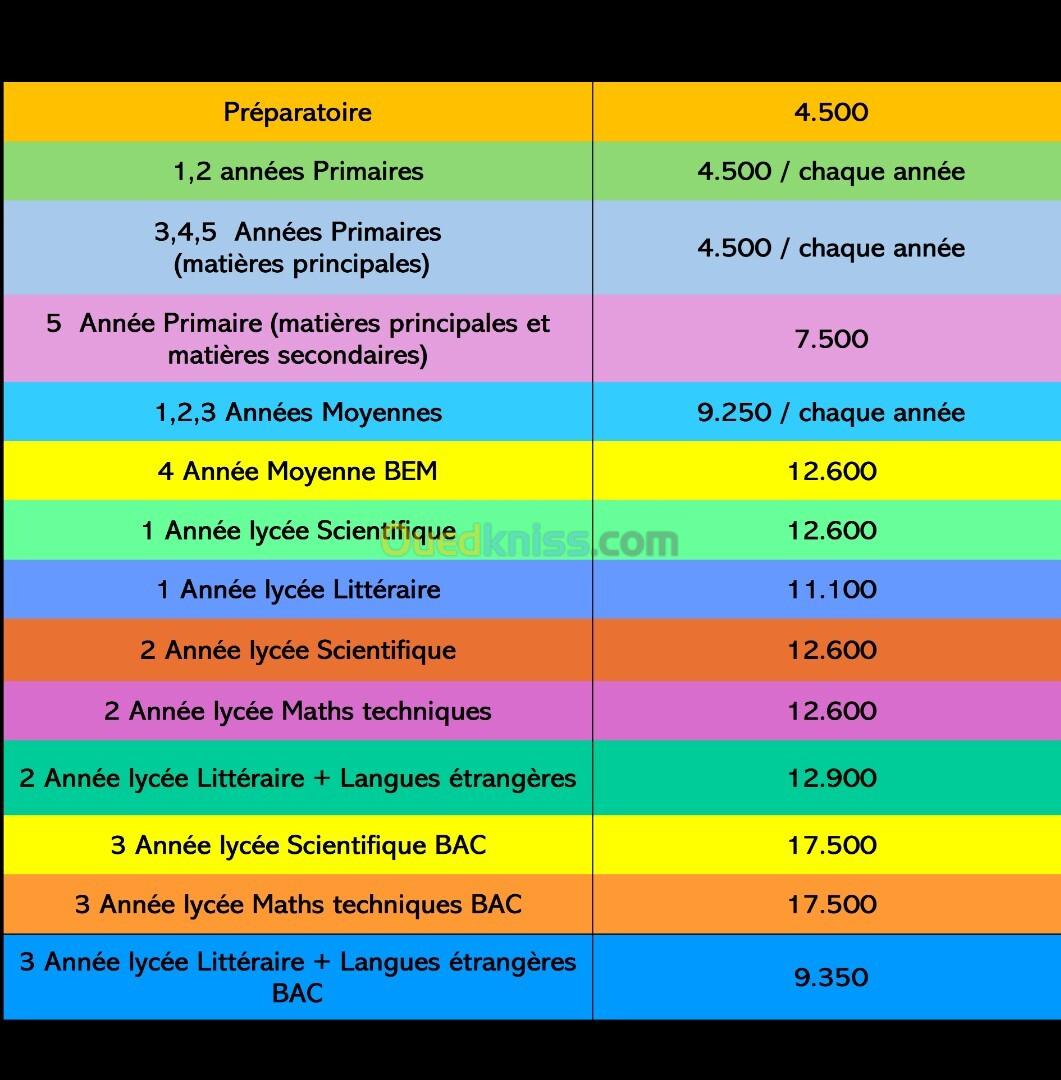 Soutien scolaire en ligne pour tous les niveaux, du préparatoire au BAC  (à distance)