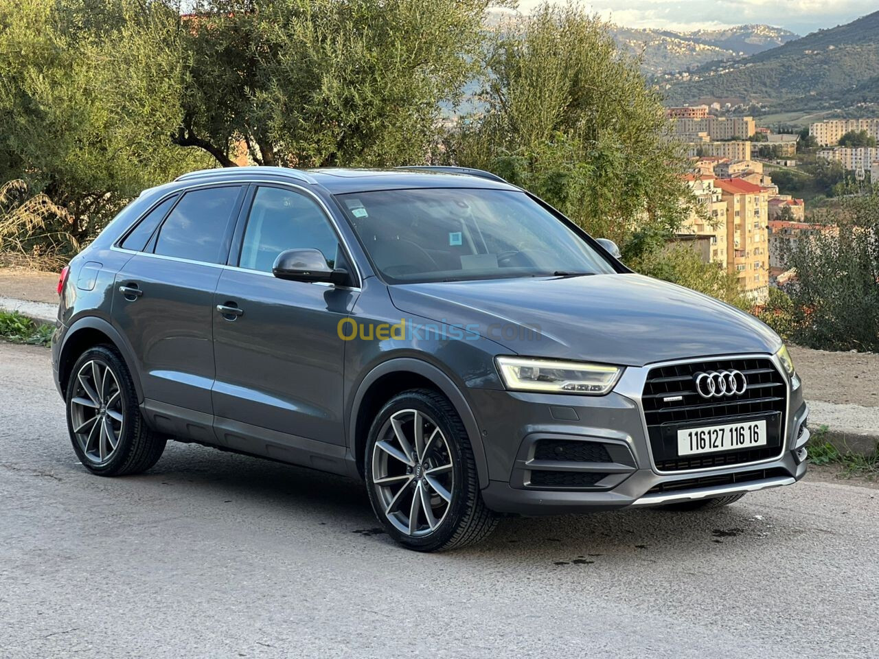 Audi Q3 2016 Off Road (facelift)