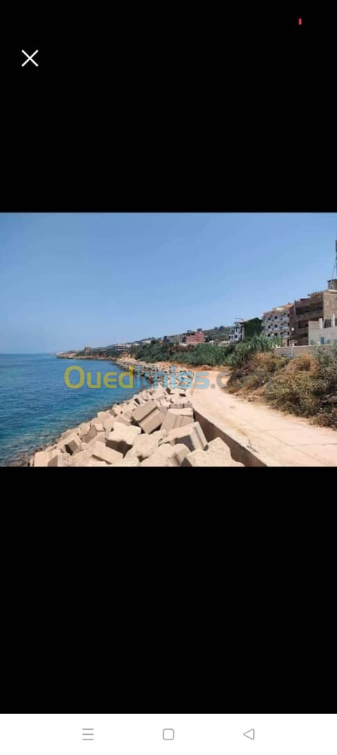 Vente Terrain Tipaza Ain tagourait