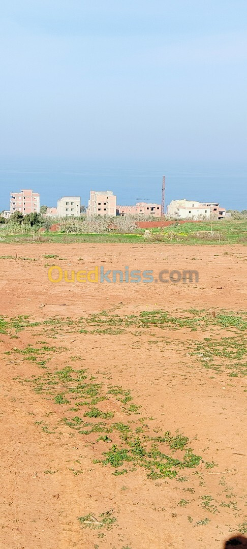 Vente Terrain Tipaza Ain tagourait