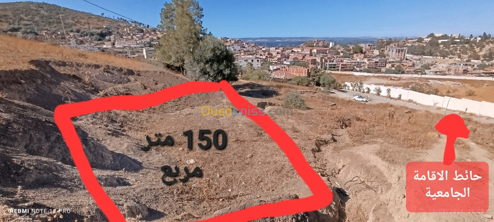 Vente Terrain Blida El affroun