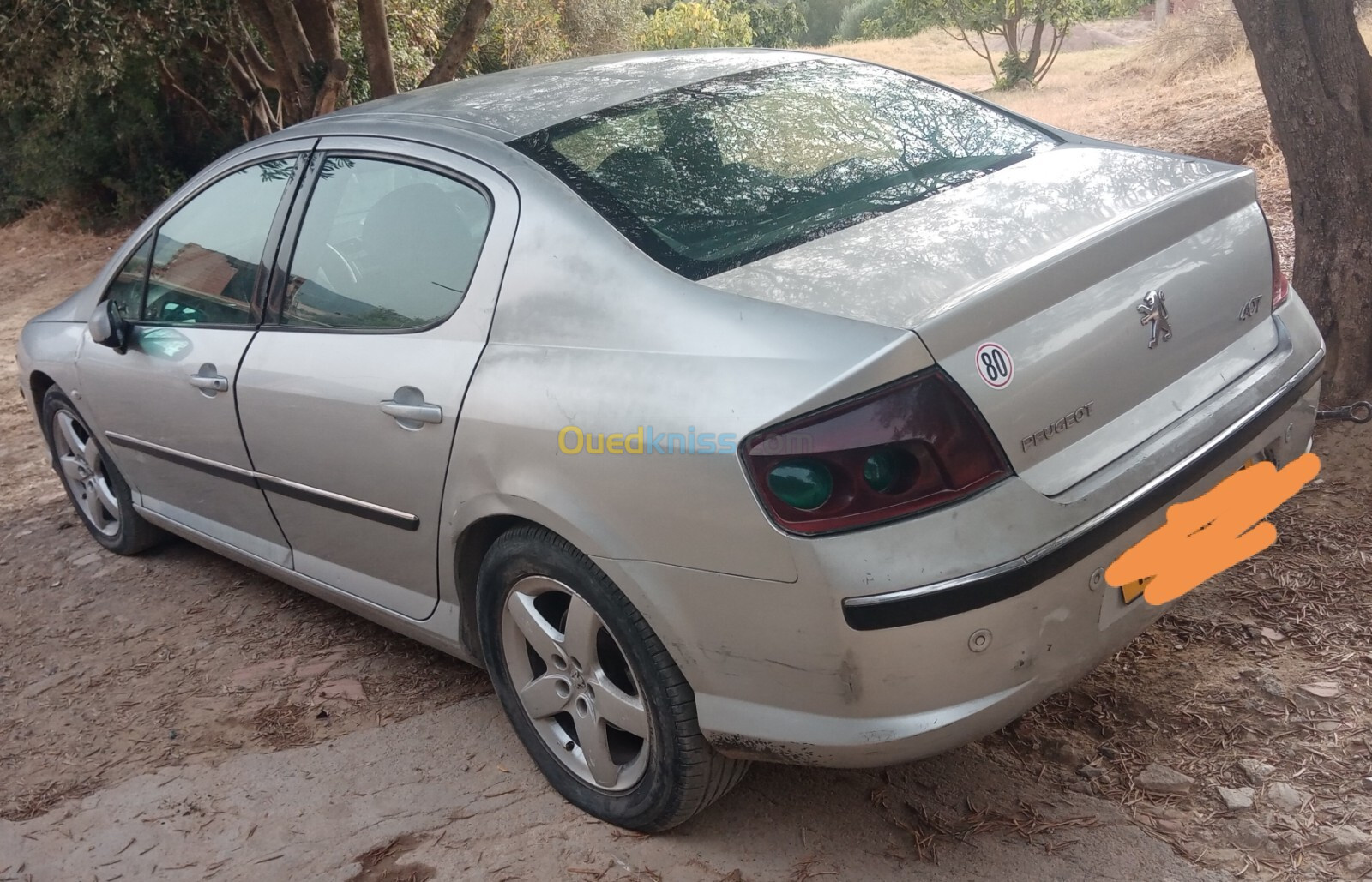 Peugeot 407 2006 