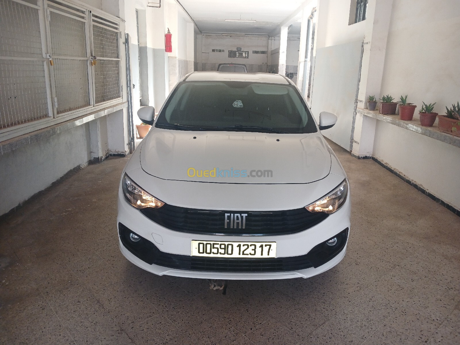 Fiat Tipo Sedan 2023 City plus