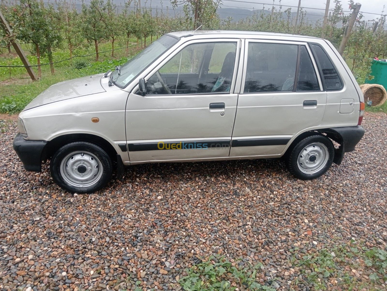 Suzuki Maruti 800 2009 