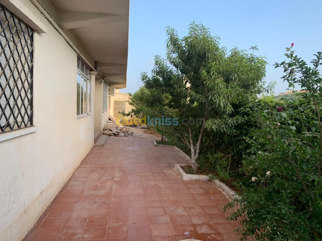 Vente Appartement F3 Alger Draria