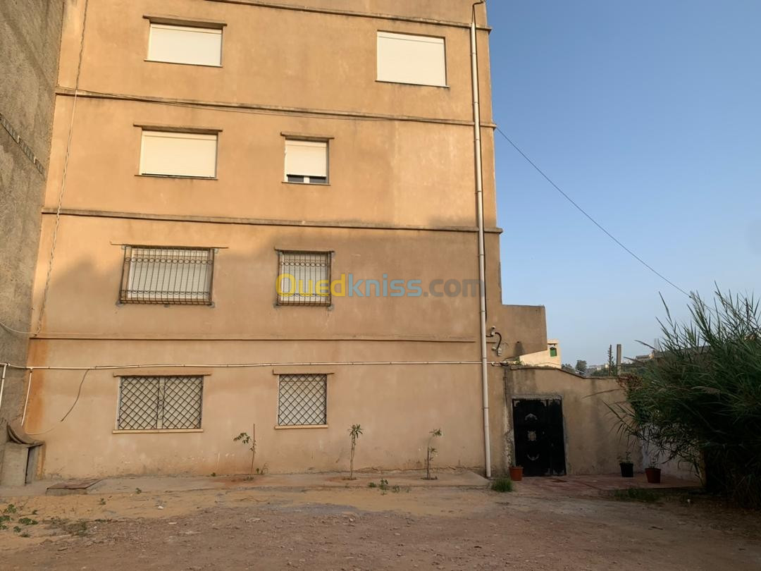 Vente Appartement F3 Alger Draria