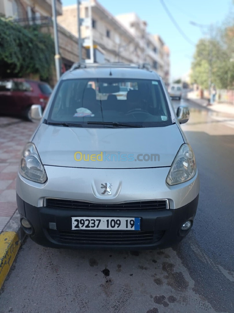 Peugeot Partner 2009 Tepee