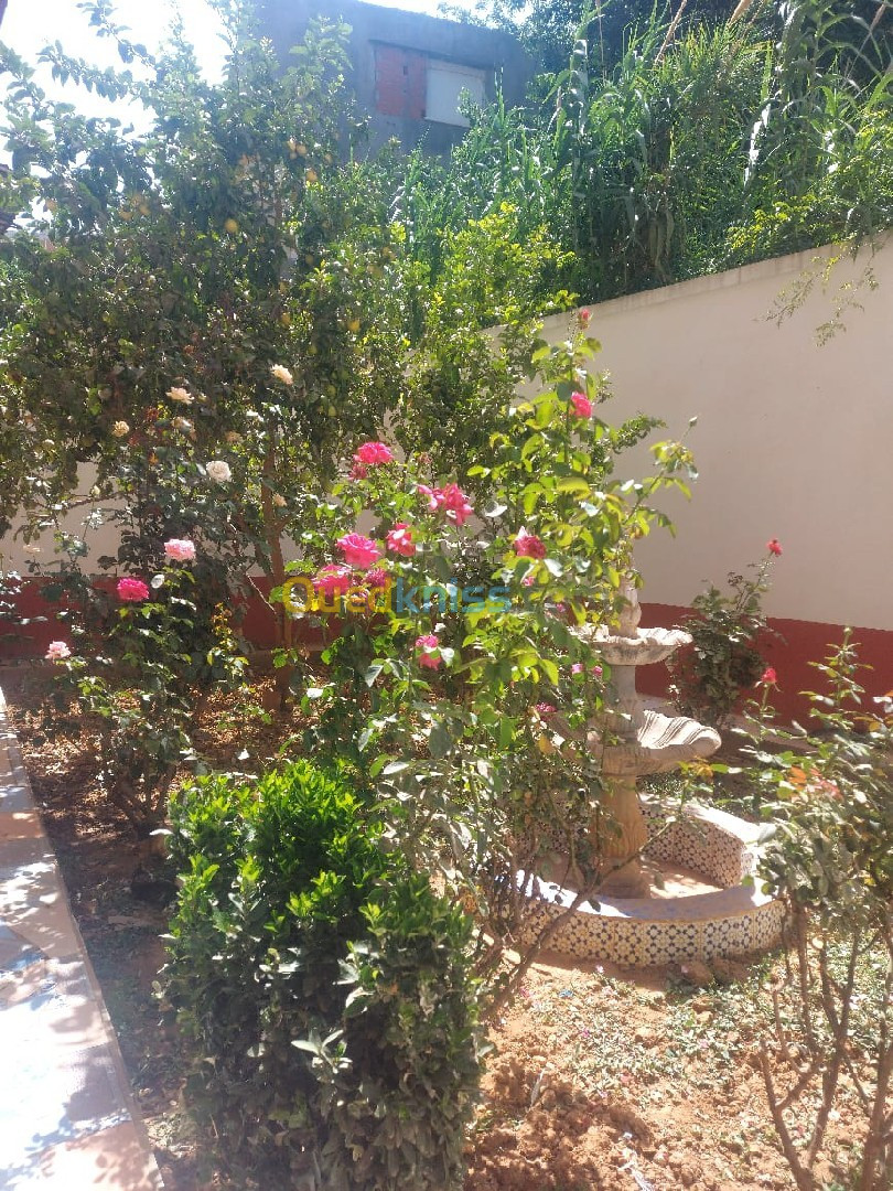 Cherche achat Appartement Alger Hydra