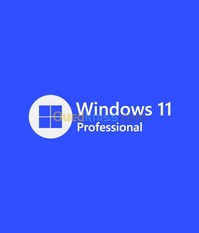 Windows 10 & 11 Pro | Serveurs Windows 2012-2025 | Licences Officielles et Logiciels Microsoft