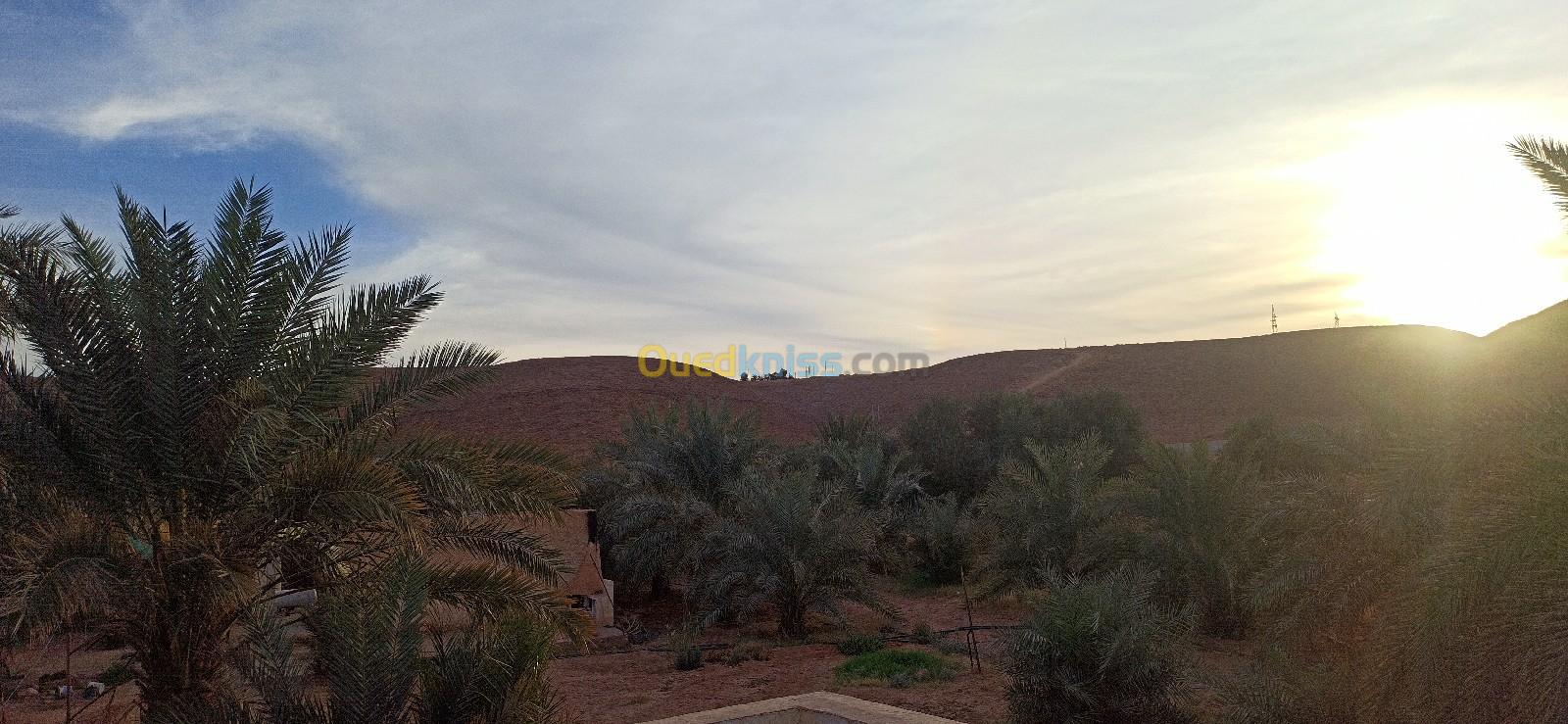 Sell Farmland Ghardaïa El atteuf