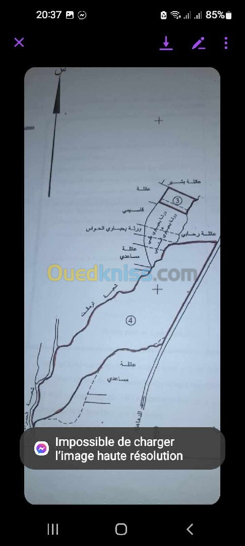 Vente Terrain Agricole M'Sila Dehahna