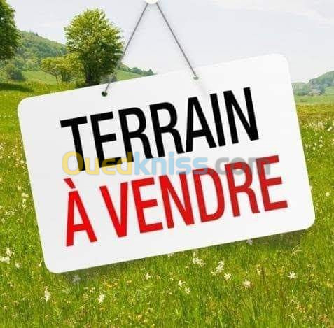 Vente Terrain Mila Oued endja