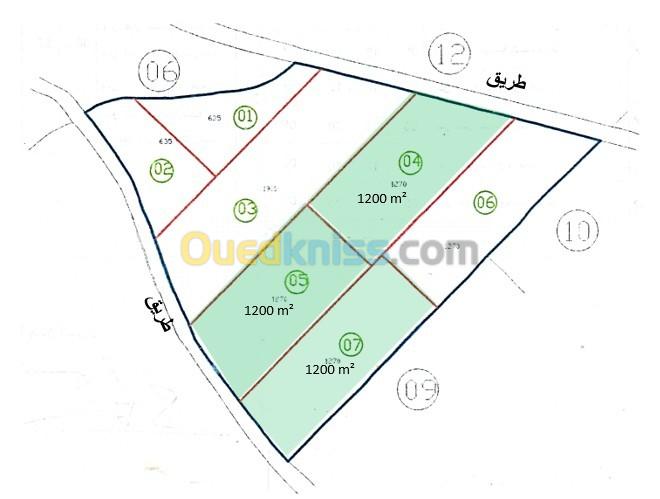 Vente Terrain Bouira El hachimia