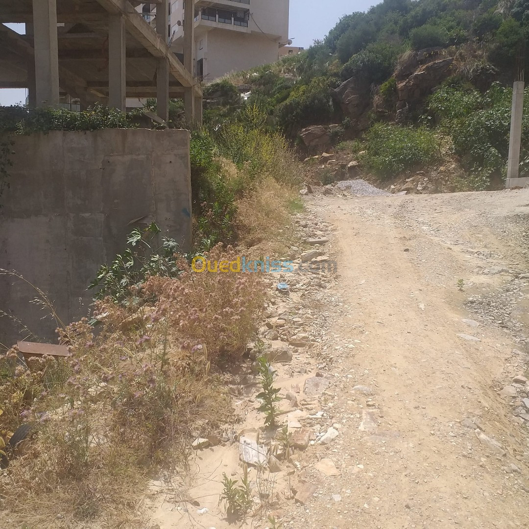 Vente Terrain Annaba Annaba