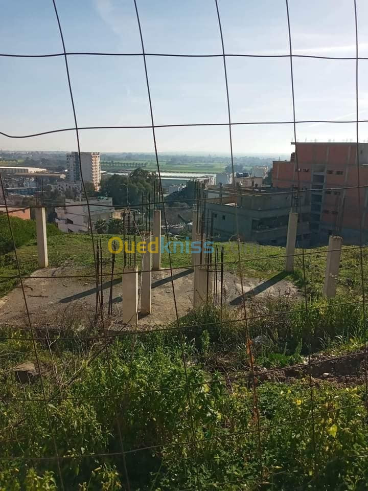 Vente Terrain Annaba El bouni