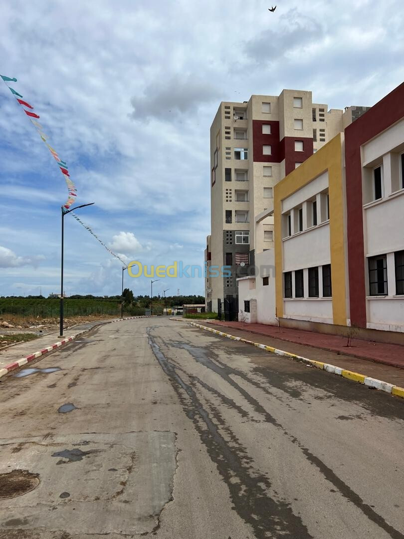 Vente Terrain Alger Reghaia