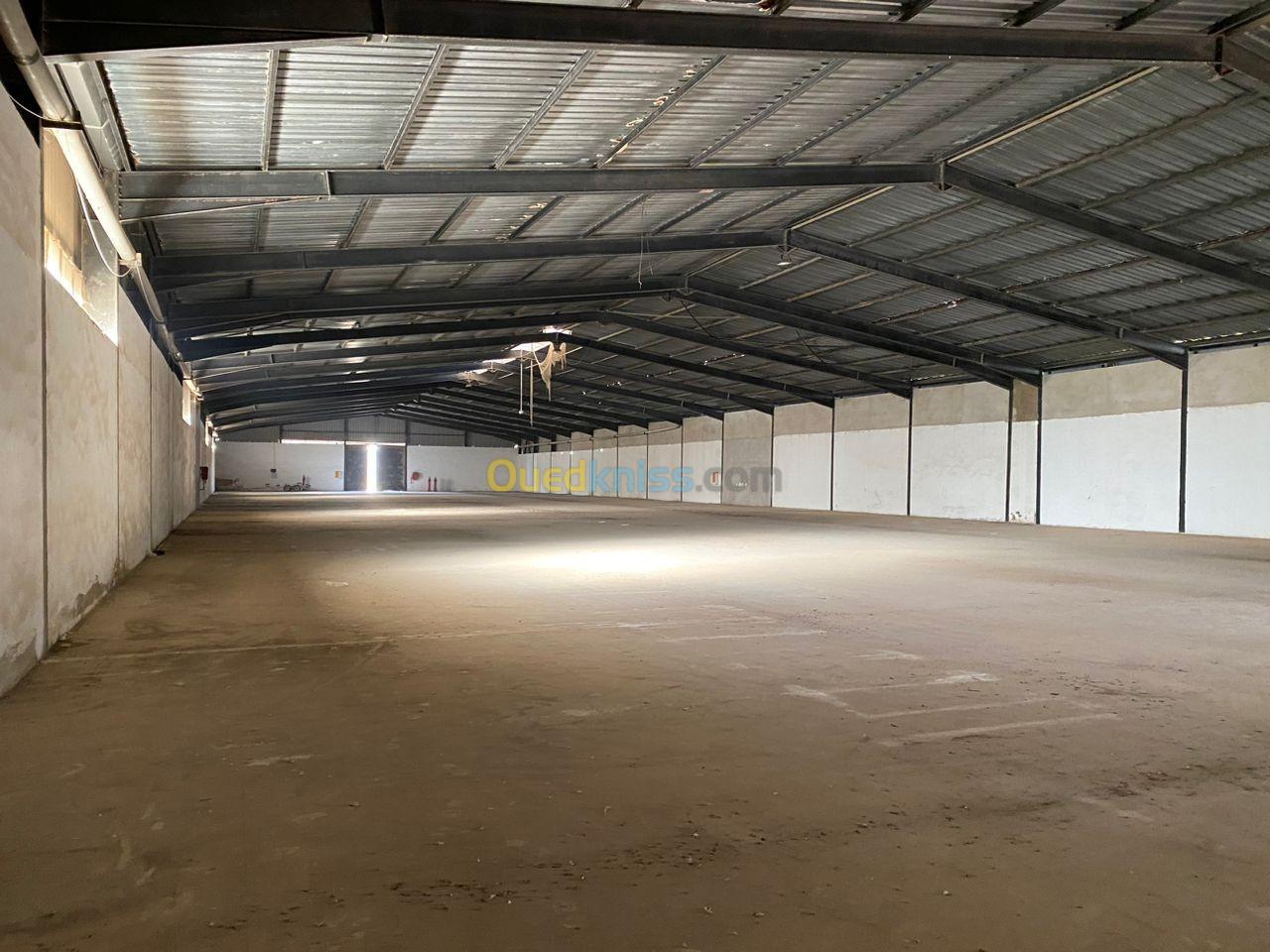 Location Hangar Oran Hassi bounif